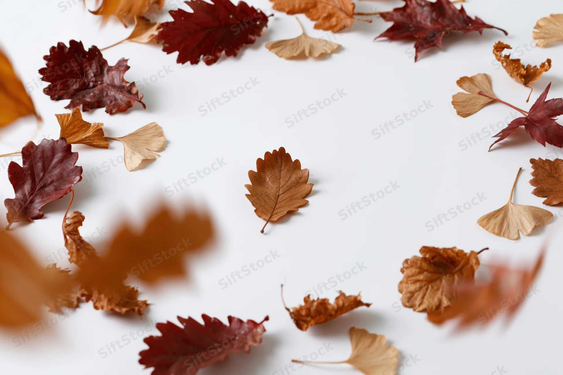 Dried autumn leaves scattered across white surface with motion blur and central copyspace