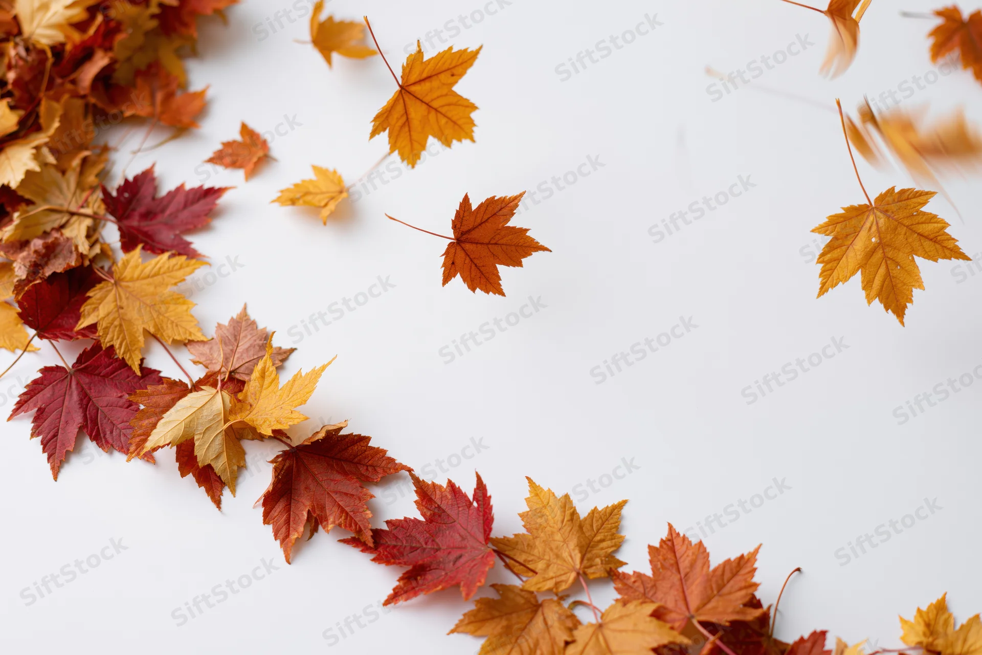 Autumn leaves scattered across white surface forming border with copyspace