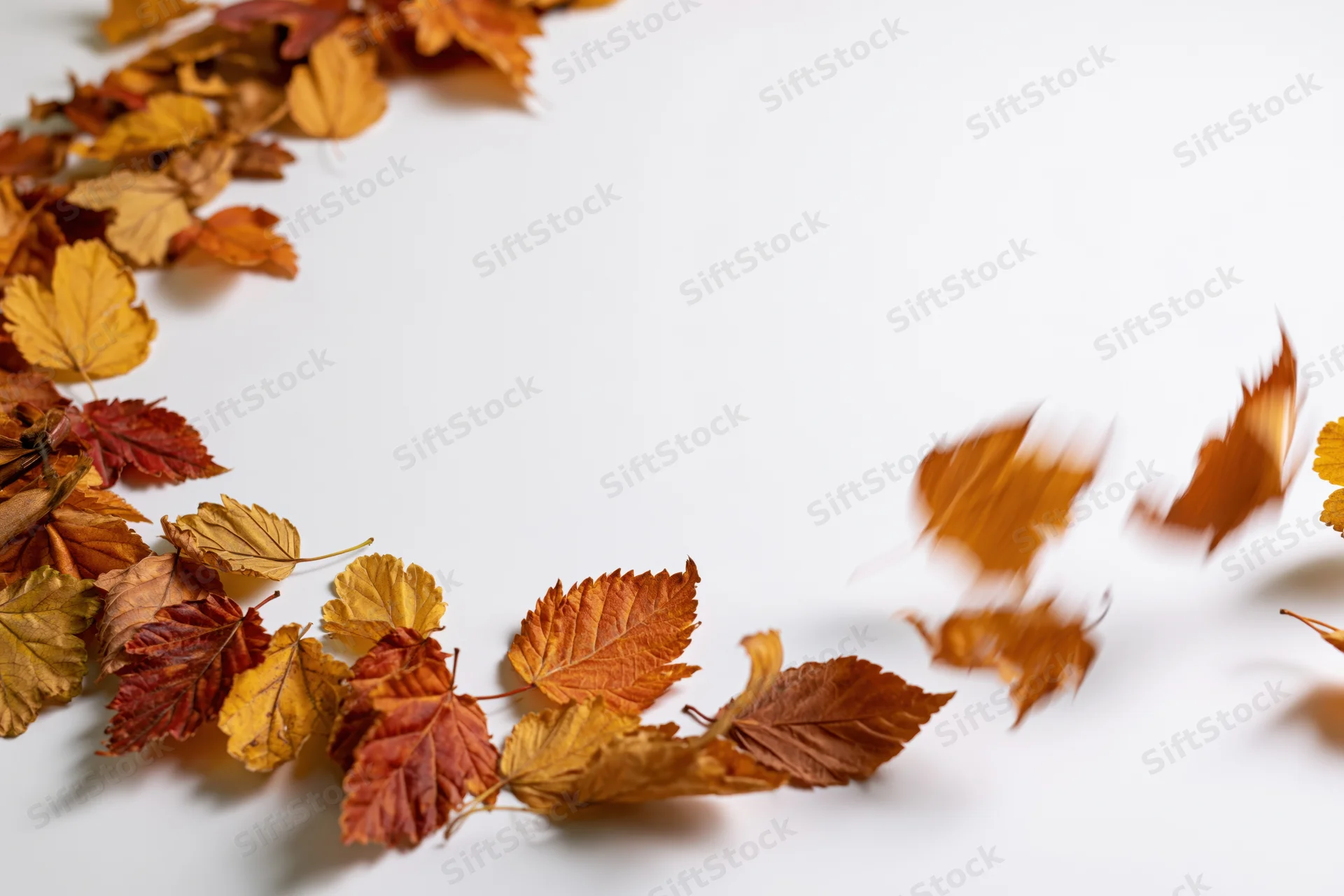 Scattered autumn leaves arranged in a curved border on a white surface with motion blur on the right side
