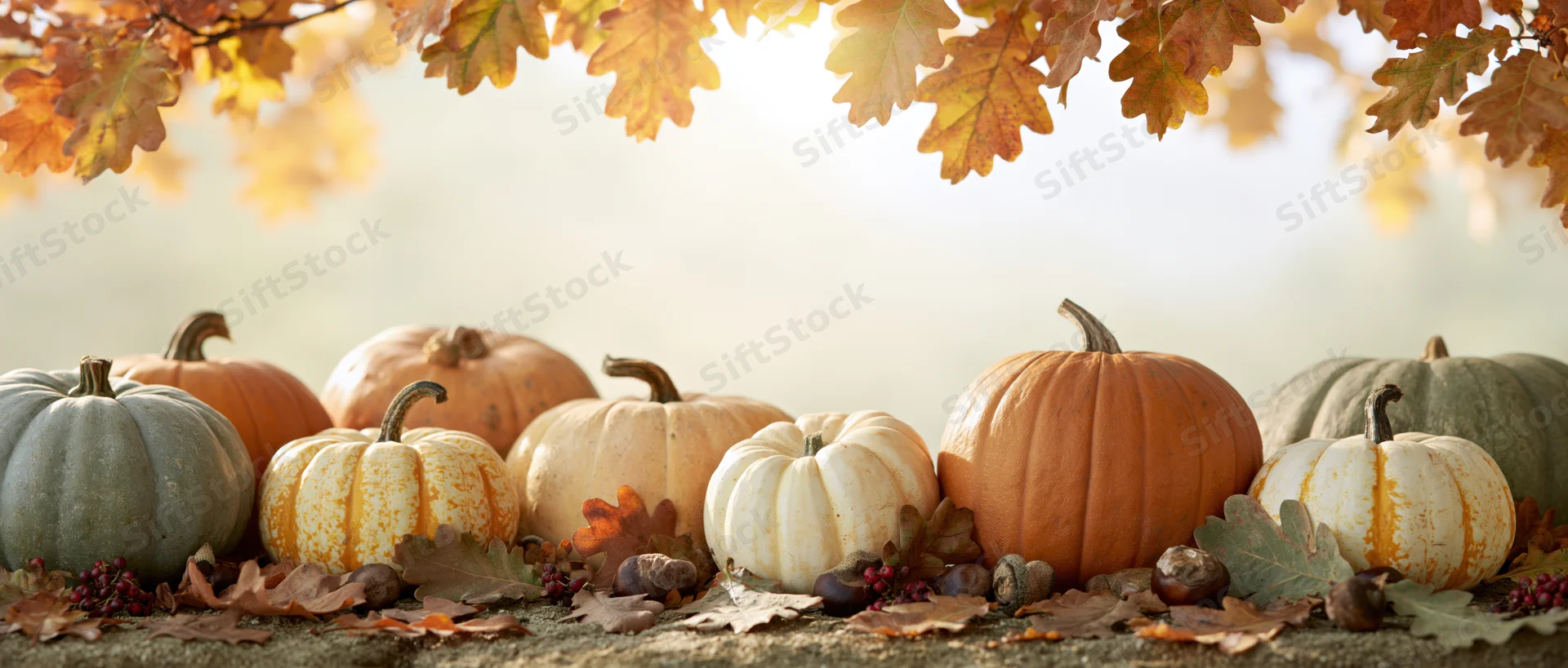 Assorted pumpkins and gourds arranged on a rustic surface under autumn leaves
