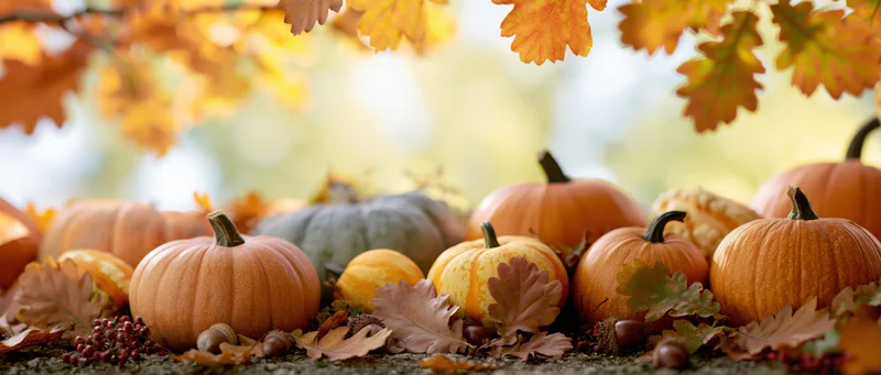 Assorted pumpkins and gourds arranged on a rustic surface with autumn leaves and acorns