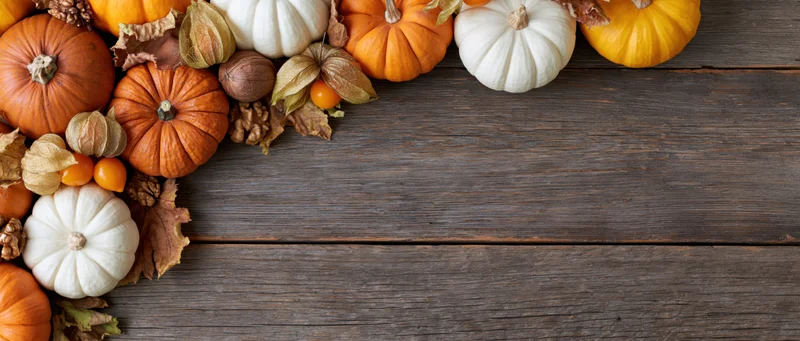 Assorted pumpkins and autumn foliage arranged along the top of a wooden table, leaving copyspace below