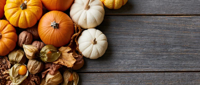 Assorted pumpkins and autumn foliage arranged on a dark wooden table with copyspace