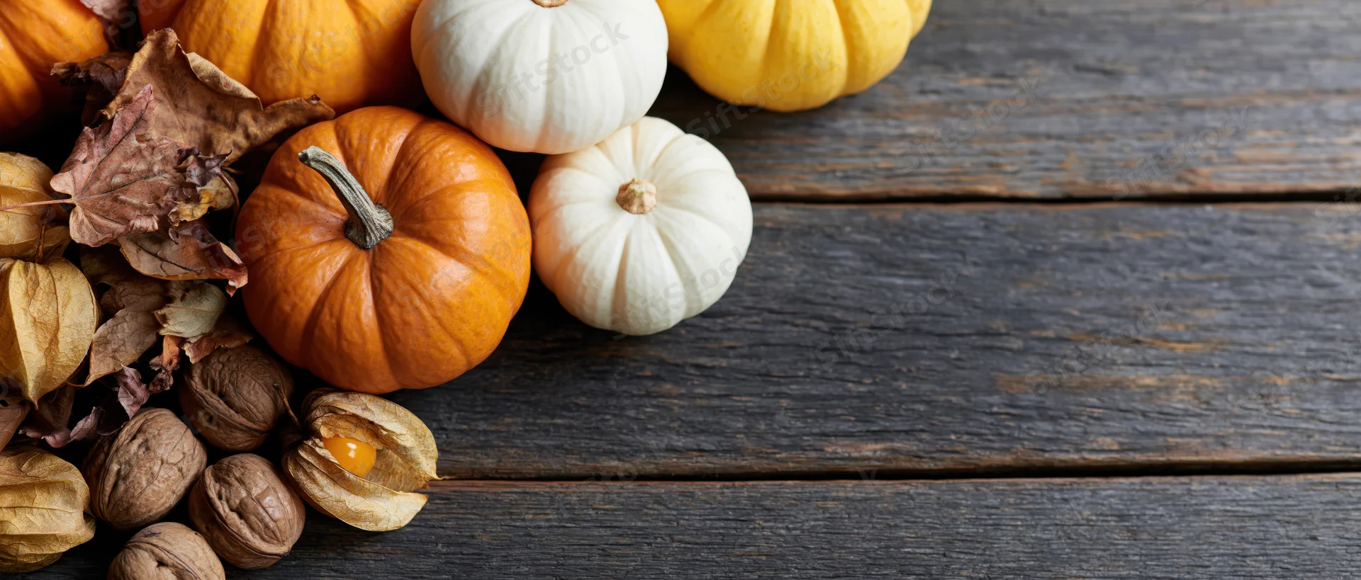 Assorted autumn pumpkins and dried foliage arranged on dark wooden planks with copyspace