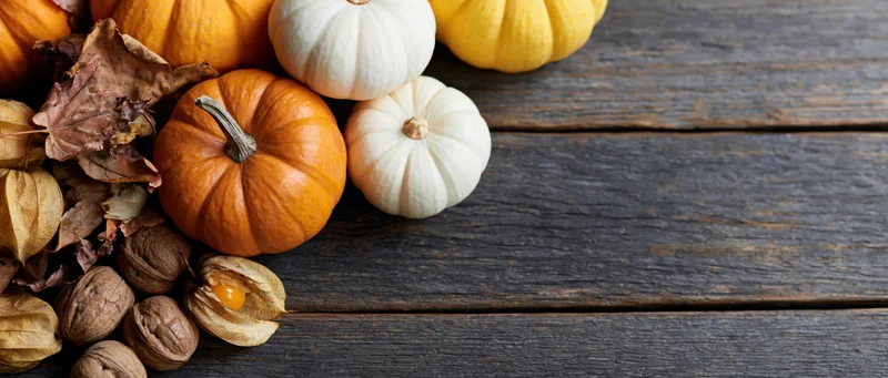 Assorted autumn pumpkins and dried foliage arranged on dark wooden planks with copyspace