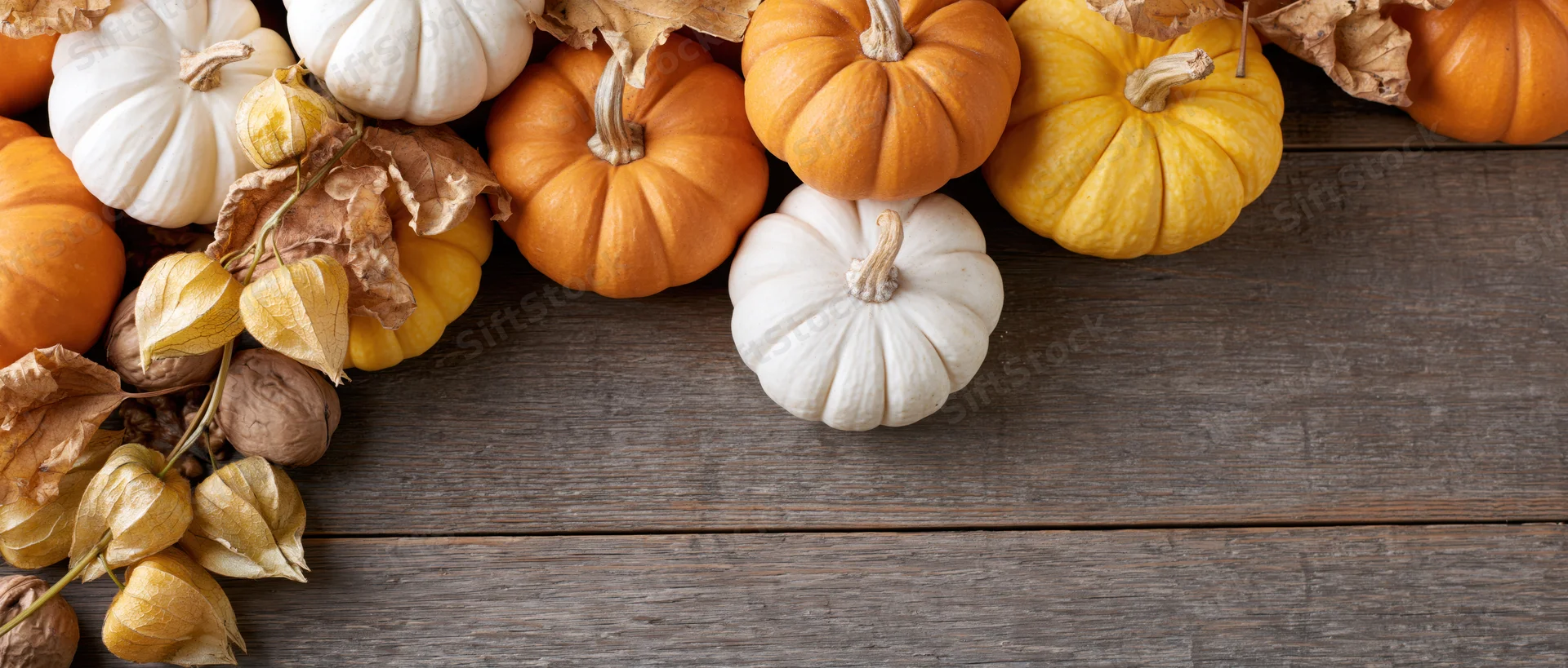 Assorted autumn pumpkins and dried foliage arranged on a wooden table with copyspace