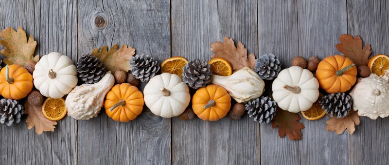 Autumn decoration with mini pumpkins, gourds, pine cones and dried oranges arranged on a gray wooden surface
