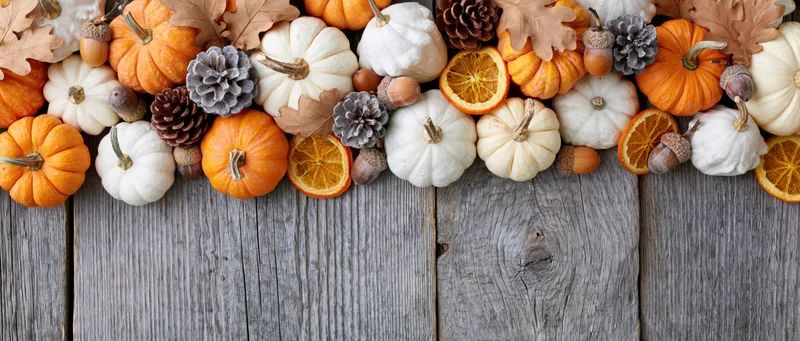 Mini pumpkins and gourds arranged with pine cones and dried oranges on a weathered wooden surface