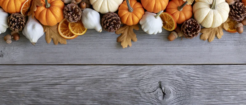 Autumn decorations arranged along the top of a weathered wooden table with copyspace below