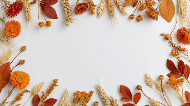 Dried orange flowers and wheat arranged in a border around a white surface
