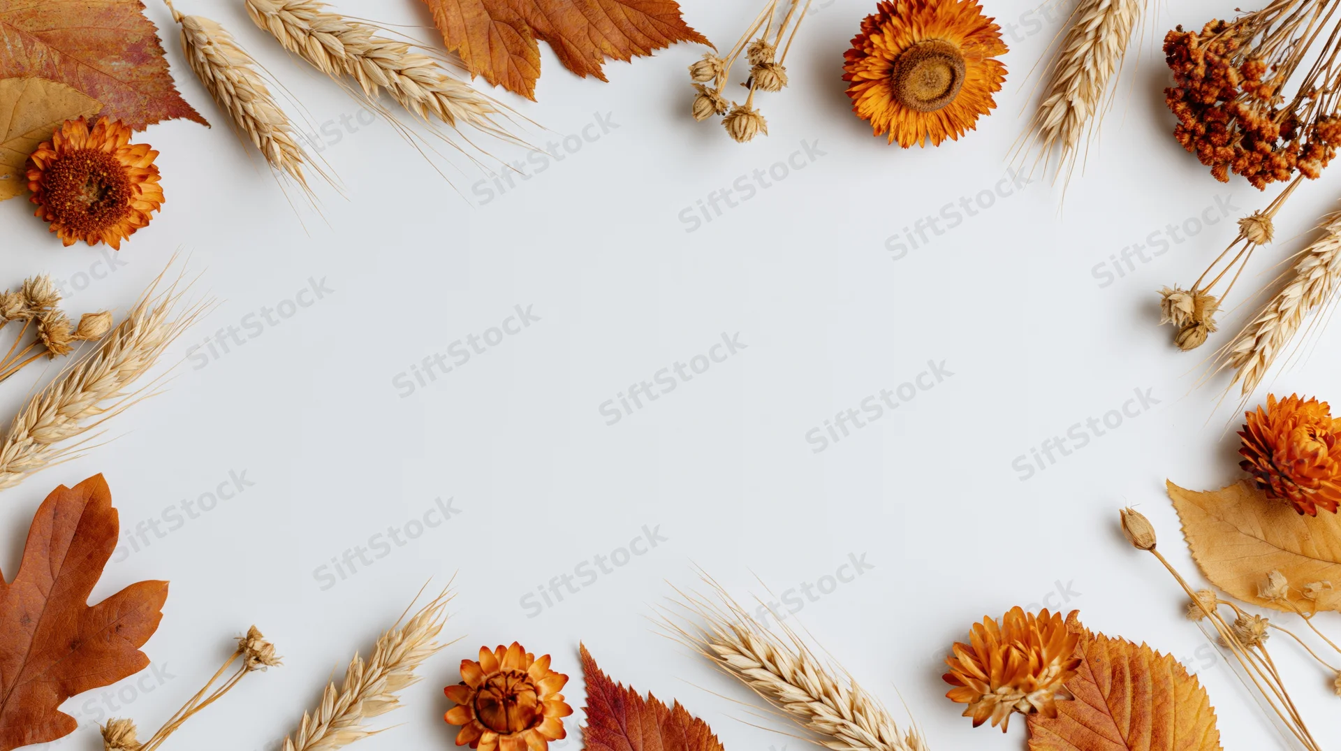 Dried orange flowers and wheat arranged in a border around a white surface with copyspace