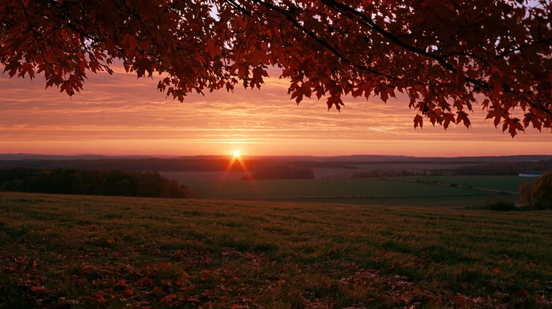 Sunset over autumn countryside fields framed by red maple leaves on a hilltop