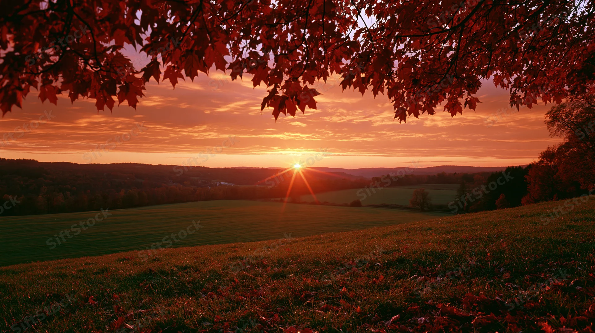 Sunset over autumn countryside viewed from a hillside with red maple leaves framing the sky