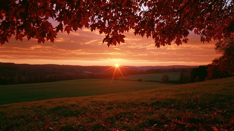 Sunset over autumn countryside viewed from a hillside with red maple leaves framing the sky