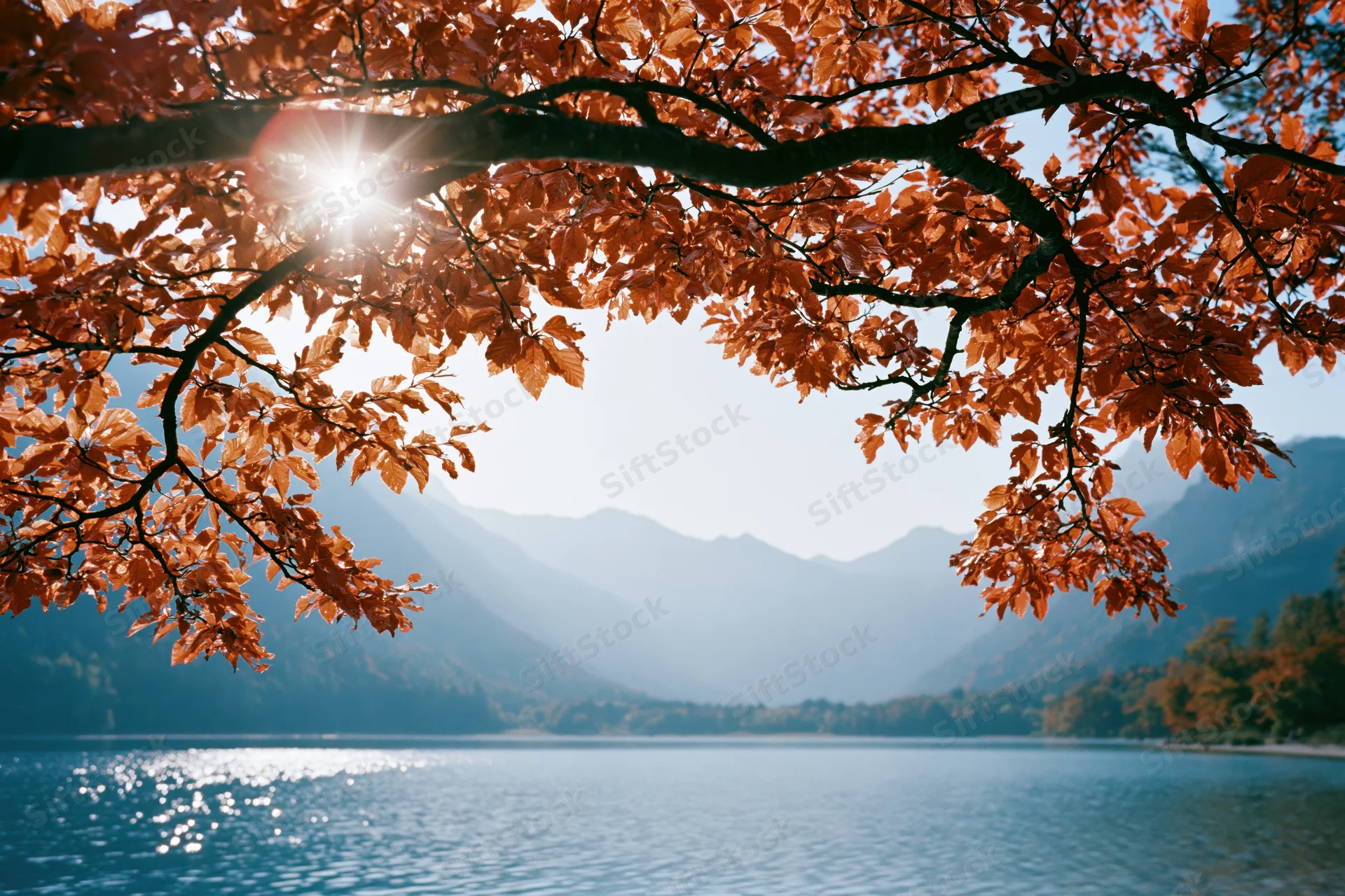Autumn tree branches with orange leaves framing a lake and mountains in the background