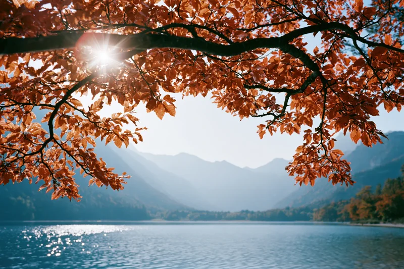 Autumn tree branches with orange leaves framing a lake and mountains in the background