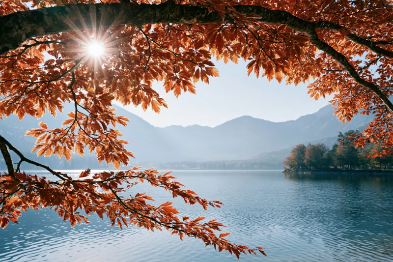 Autumn trees with orange-red leaves framing a lake and mountains in the background