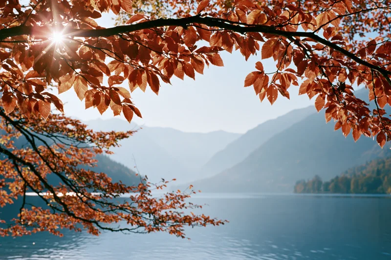 Autumn leaves framing a lake and mountains in daylight