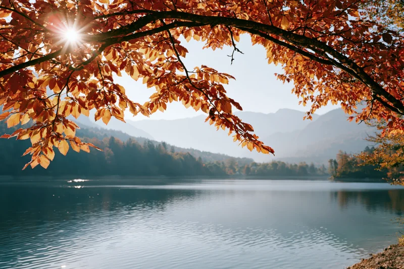 Autumn trees with orange leaves framing a calm lake and distant mountains under sunlight