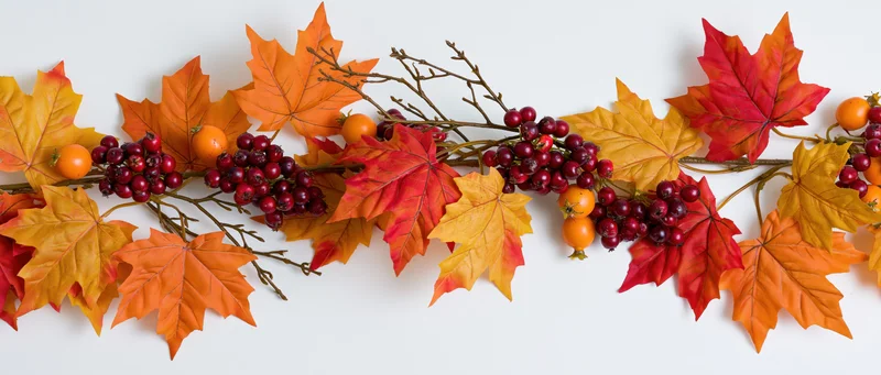 Autumn garland with maple leaves and berries arranged horizontally on white background