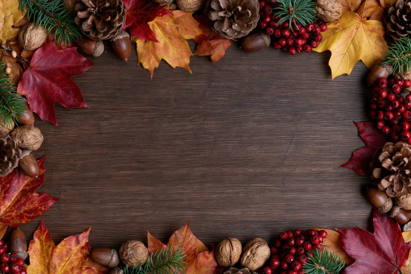 Autumn leaves and pinecones arranged in a border around a dark wooden table with copyspace in center