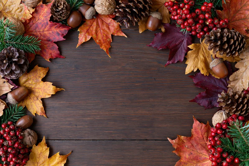 Autumn leaves and pinecones arranged in a border around a dark wooden table with copyspace in center