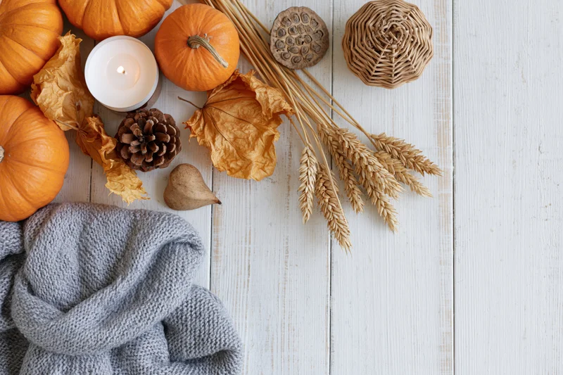 Autumn flat lay with pumpkins, wheat, scarf and candle on white wooden table