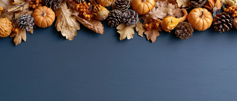 Autumn flat lay arrangement of dried leaves, small pumpkins and pinecones on dark blue wooden surface with copyspace
