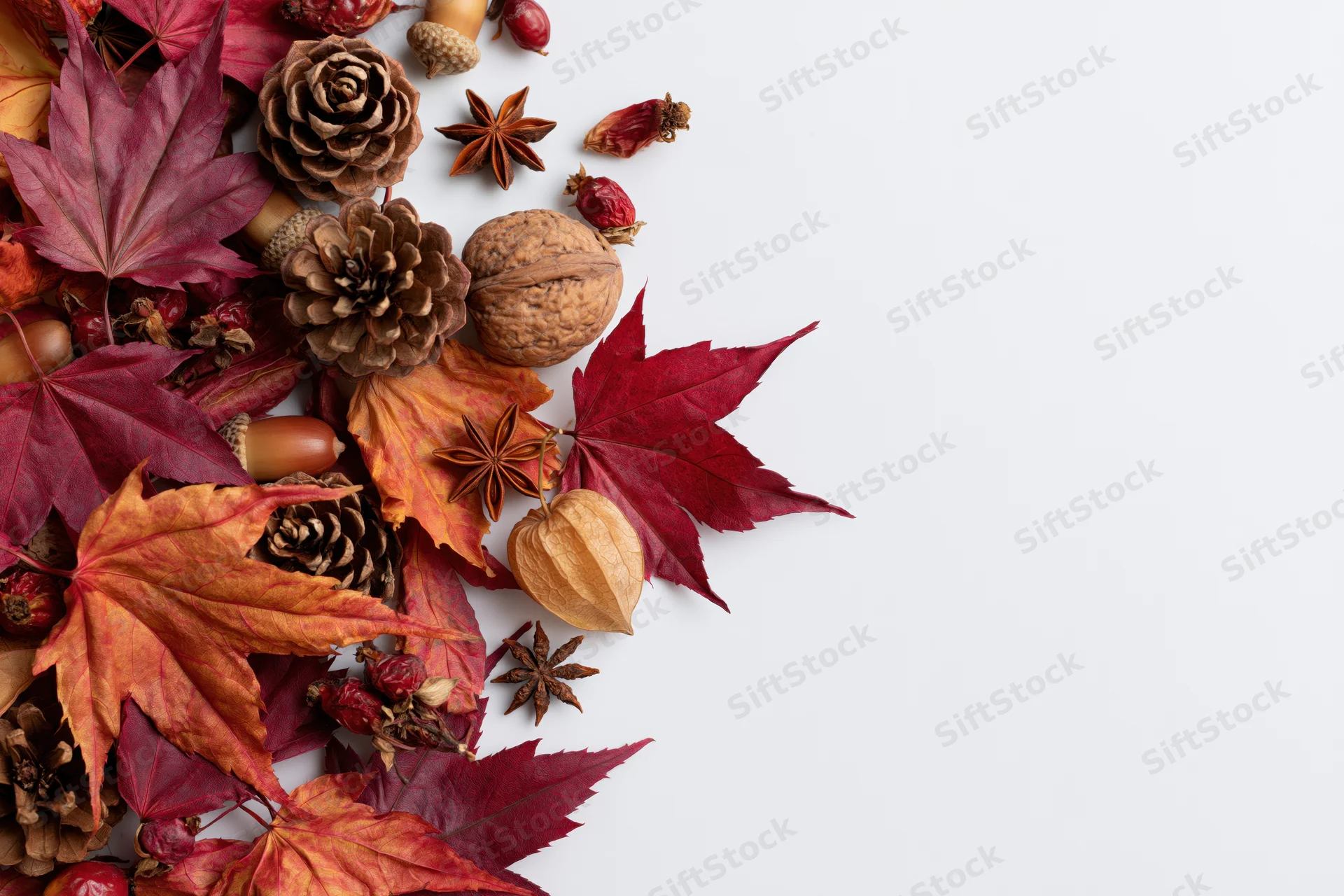 Autumn flat lay with dried maple leaves, pinecones, acorns and spices arranged on white surface