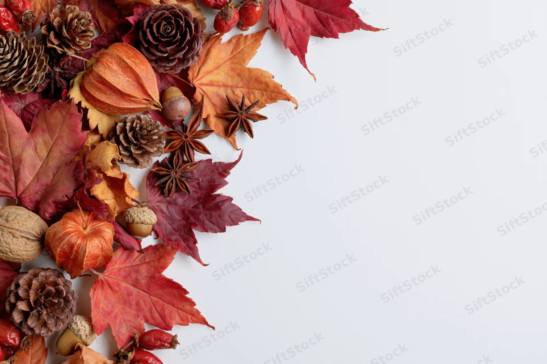 Dried maple leaves and autumnal elements arranged in corner on white background