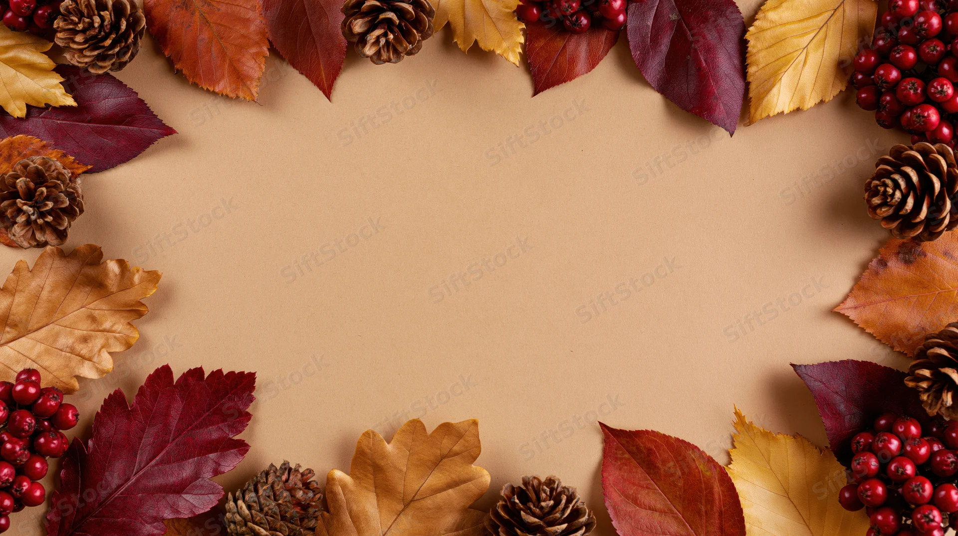 Autumn leaves pinecones and berries arranged in a border around a plain surface with copyspace