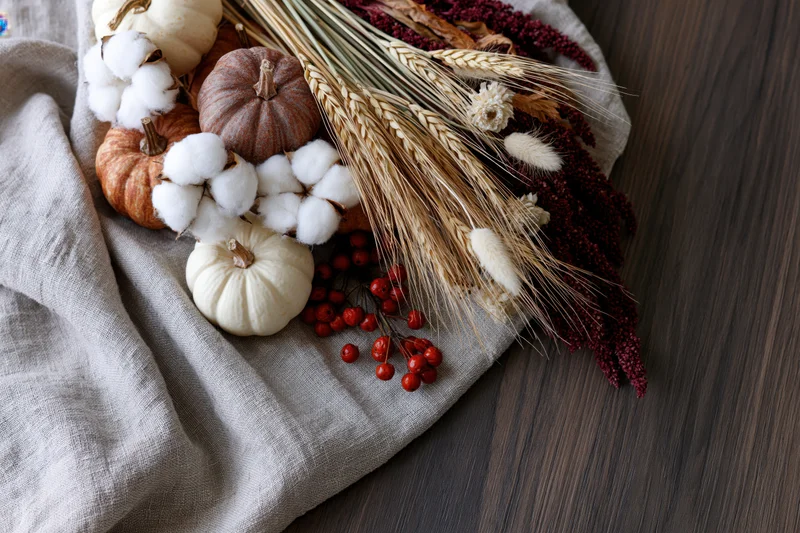Autumn flat lay with small pumpkins, wheat stalks, cotton, and berries on linen fabric over dark wood table