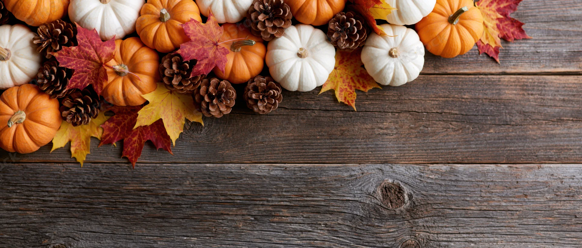 Autumn flat lay with small orange and white pumpkins, maple leaves, pinecones arranged along top of rustic wooden table