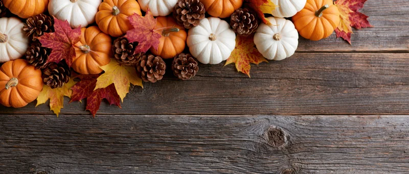 Autumn flat lay with small orange and white pumpkins, maple leaves, pinecones arranged along top of rustic wooden table