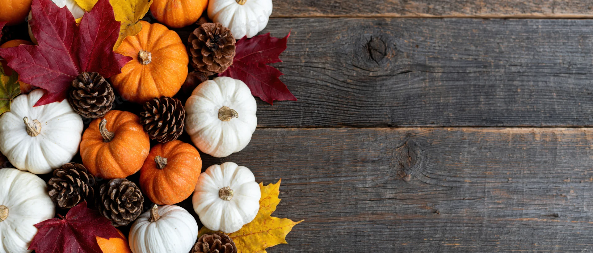 Small orange and white pumpkins with pinecones and autumn leaves arranged on a dark wooden table in a flat lay composition
