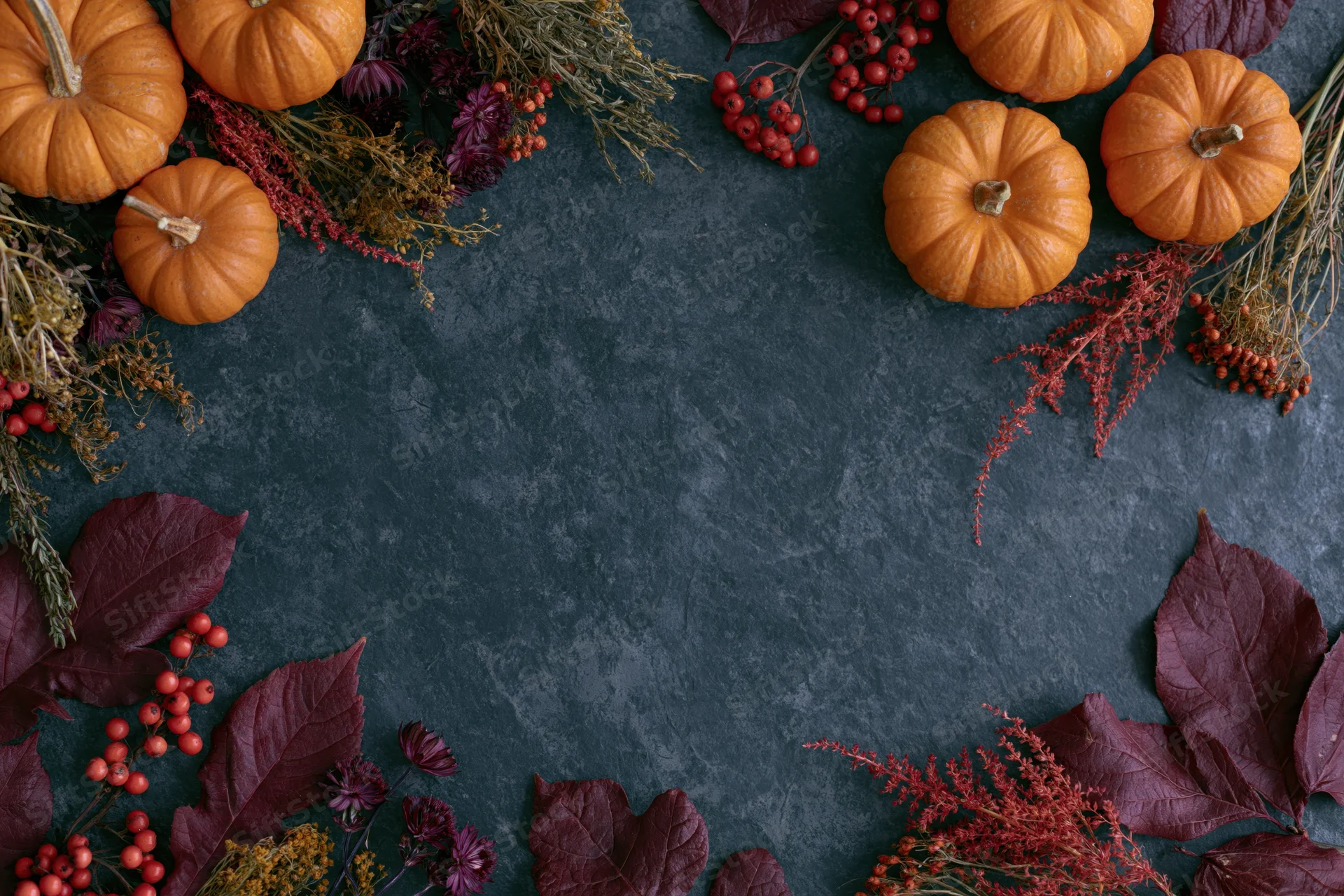 Autumn flat lay with small orange pumpkins, dried flowers, berries and leaves arranged around dark textured surface