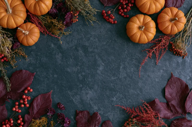 Autumn flat lay with small orange pumpkins, dried flowers, berries and leaves arranged around dark textured surface