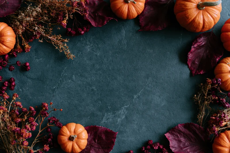 Small orange pumpkins and dried flowers arranged in a frame on dark surface with copyspace