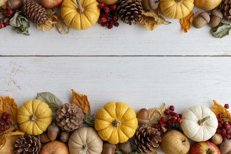 Autumn flat lay arrangement of small pumpkins, pinecones, acorns, and leaves on white wooden surface