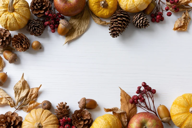 Autumn flat lay arrangement of pumpkins, pinecones, apples, and dried leaves on white wooden surface forming border with copyspace