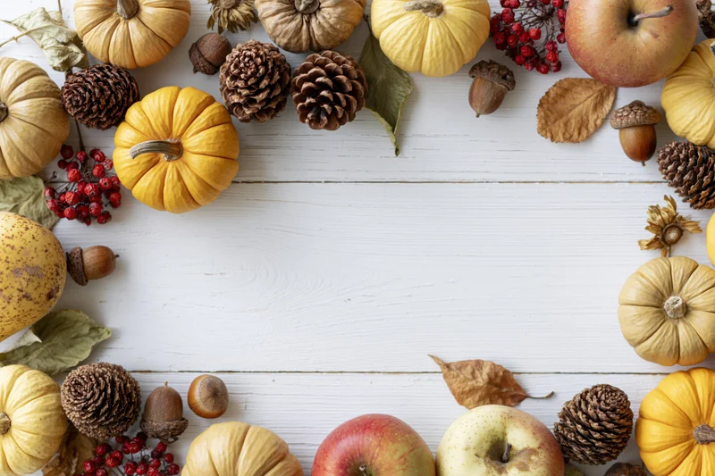 Autumn flat lay arrangement of small yellow and tan pumpkins, pinecones, apples, and berries on white wooden table with central copyspace
