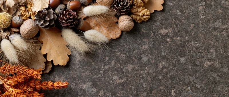 Autumn flat lay border of dried oak leaves, acorns, pinecones and grass on stone surface with copyspace