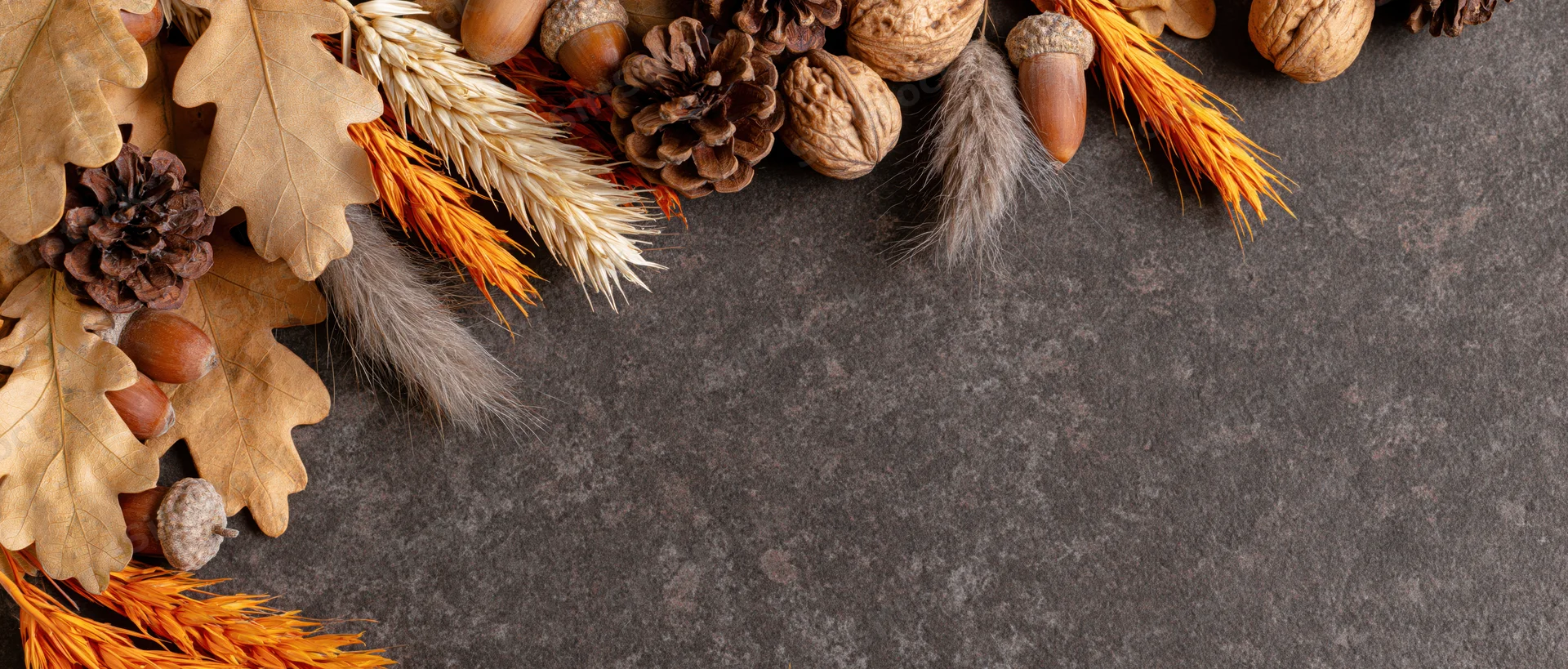 Autumn flat lay border of dried oak leaves, acorns, pinecones, wheat and feathers on dark stone surface