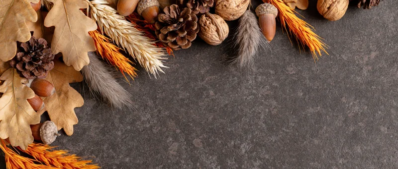 Autumn flat lay border of dried oak leaves, acorns, pinecones, wheat and feathers on dark stone surface