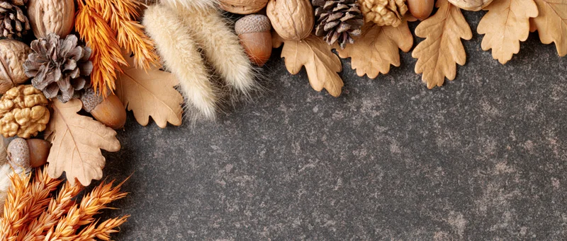 Autumn flat lay border of dried oak leaves acorns and pinecones on dark stone surface with copyspace