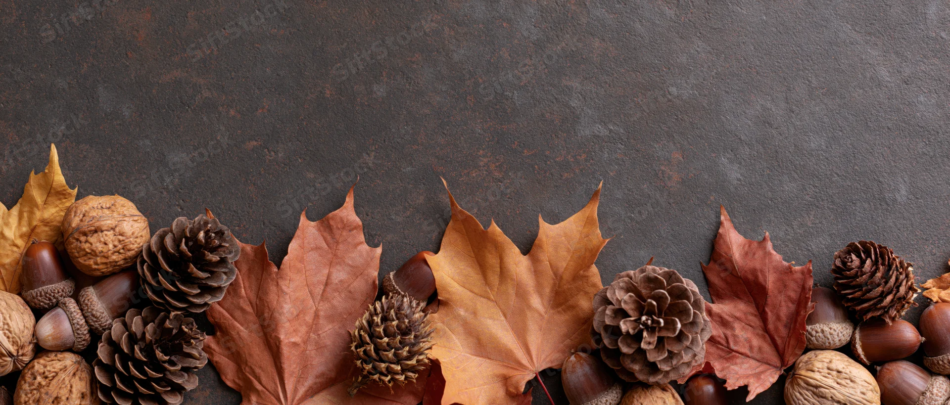 Dried maple leaves and pinecones arranged in a border along the bottom of a dark textured surface with copyspace above