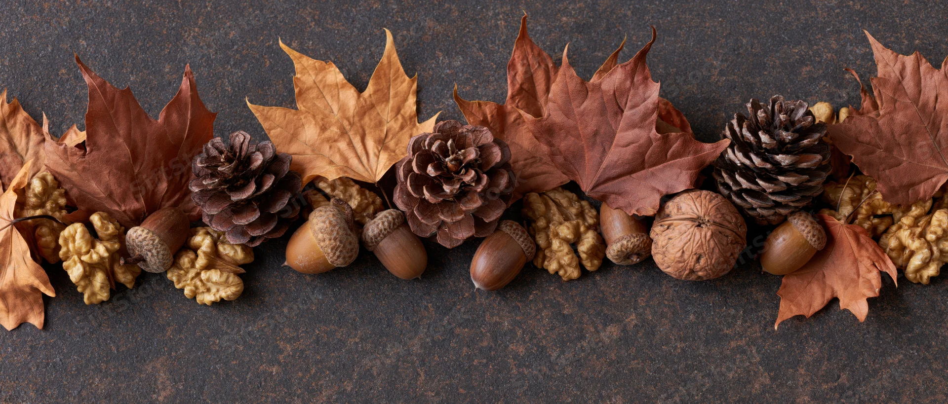 Autumn flat lay border of dried maple leaves pine cones acorns and walnuts on dark stone surface