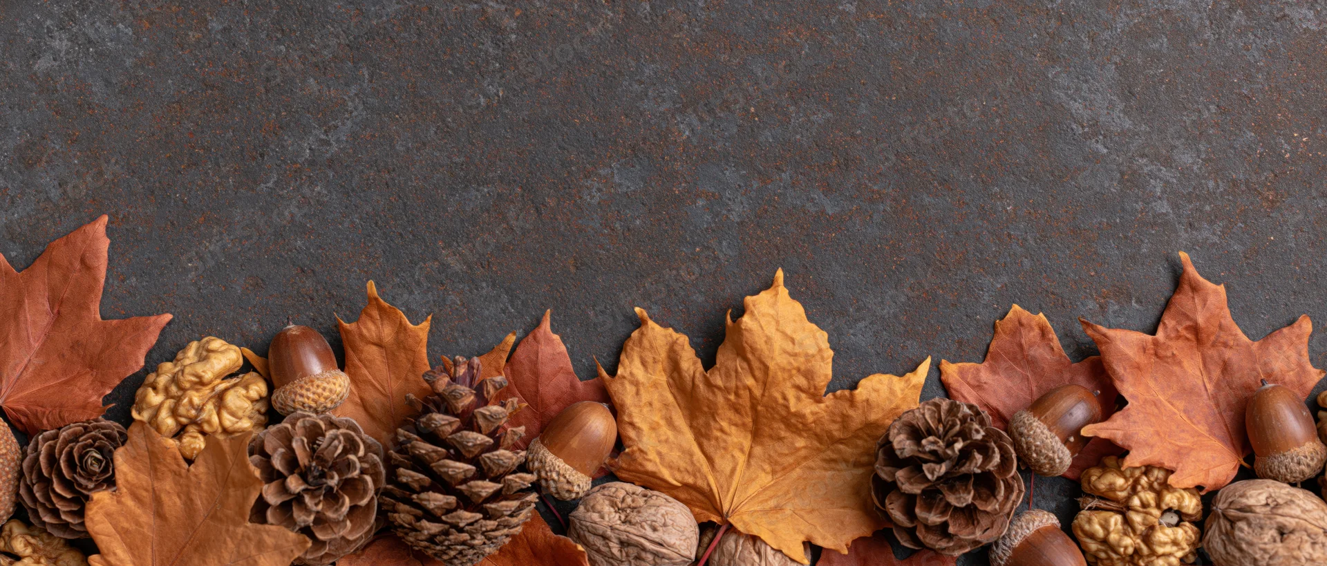 Dried maple leaves and pinecones arranged in a border along the bottom of a dark textured surface with copyspace above