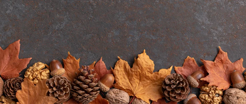 Dried maple leaves and pinecones arranged in a border along the bottom of a dark textured surface with copyspace above