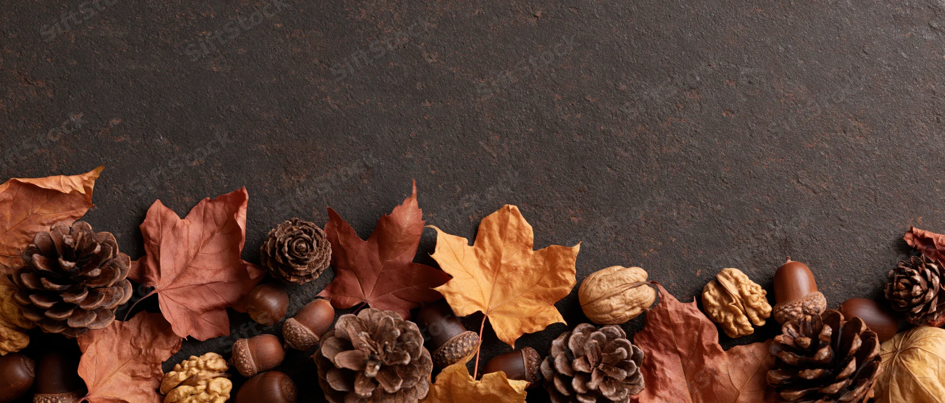 Dried maple leaves pine cones and acorns arranged in a border along the bottom of a dark textured surface with copyspace above